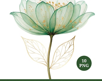 Watercolor Green & Gold Flowers Clipart: Elegant Floral PNG, Digital Download