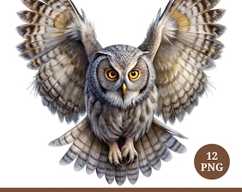 Elegant Owl Clipart Bundle, 12 Transparent PNGs, Wildlife Art, Digital Download