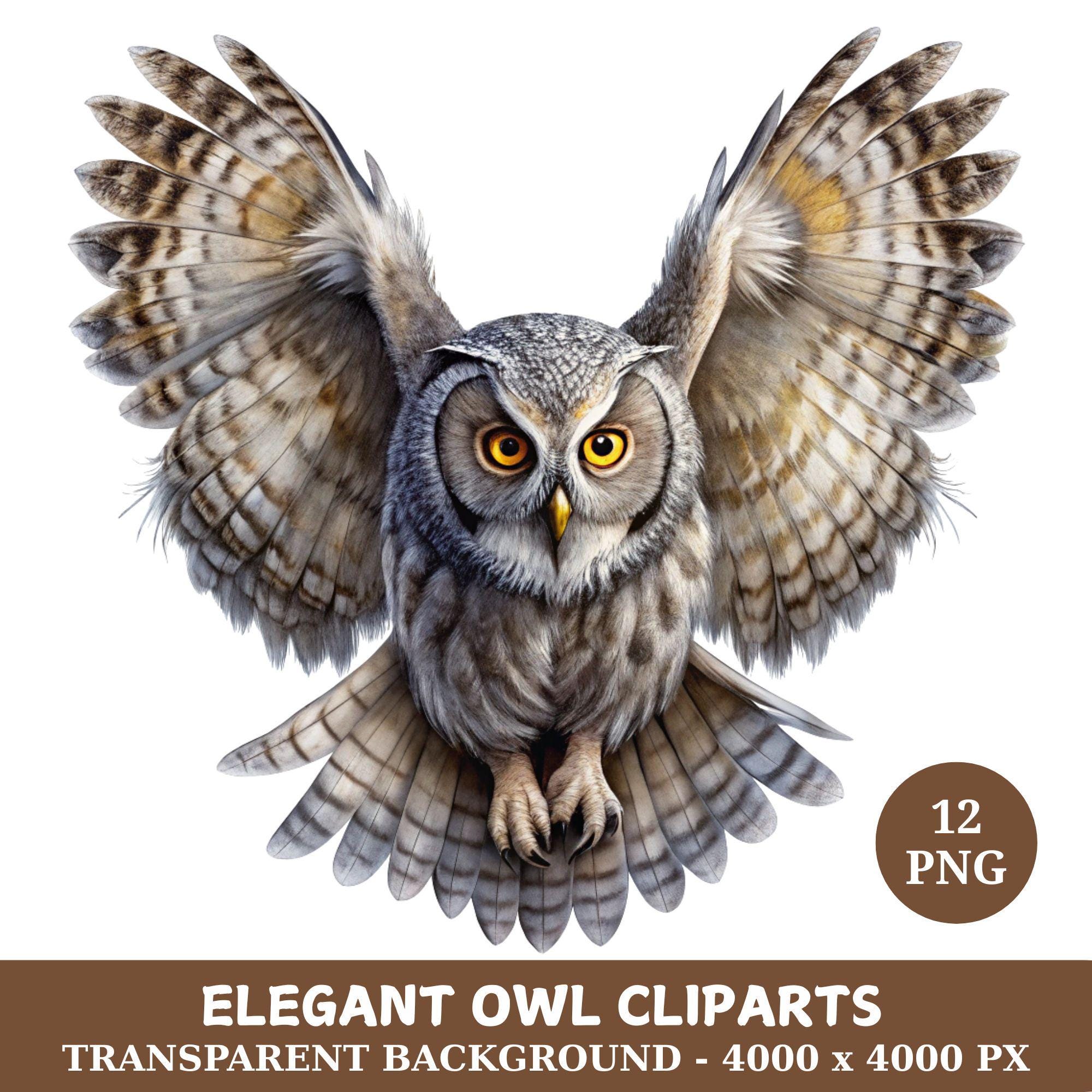 Elegant Owl Clipart Bundle, 12 Transparent PNGs, Wildlife Art, Digital Download