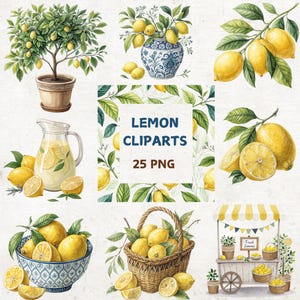 Lemon Clipart Bundle, 25 Transparent png, Fruit Clipart, Lemon png, Instant Download, Junk Journaling, Lemon tree png, Digital Download