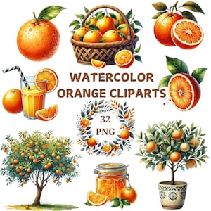 Watercolor Orange Clipart Bundle: 32 PNG Fruit Illustrations (Digital Download)