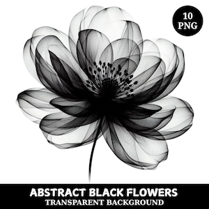 Abstract Black Flowers Clipart Bundle: Watercolor PNG, Digital Download
