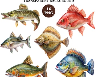 Watercolor Fish Clipart Bundle: Vintage North American Fish Illustrations (Digital Download)