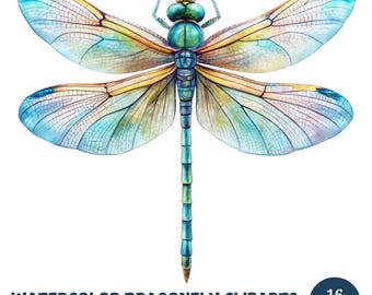 Watercolor Dragonfly Clipart Bundle: 16 JPG Insect Illustrations (Digital Download)