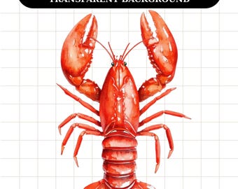 Aquarell Roter Hummer Clipart: PNG & JPG, 4000 x 4000 px, 300 dpi (Digital Download)