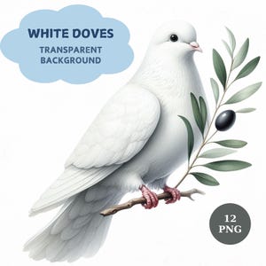 White Dove Clipart Bundle, Peace Dove, 12 Transparent Background png, Printable Watercolor clipart, Paper craft, Peace Theme Art