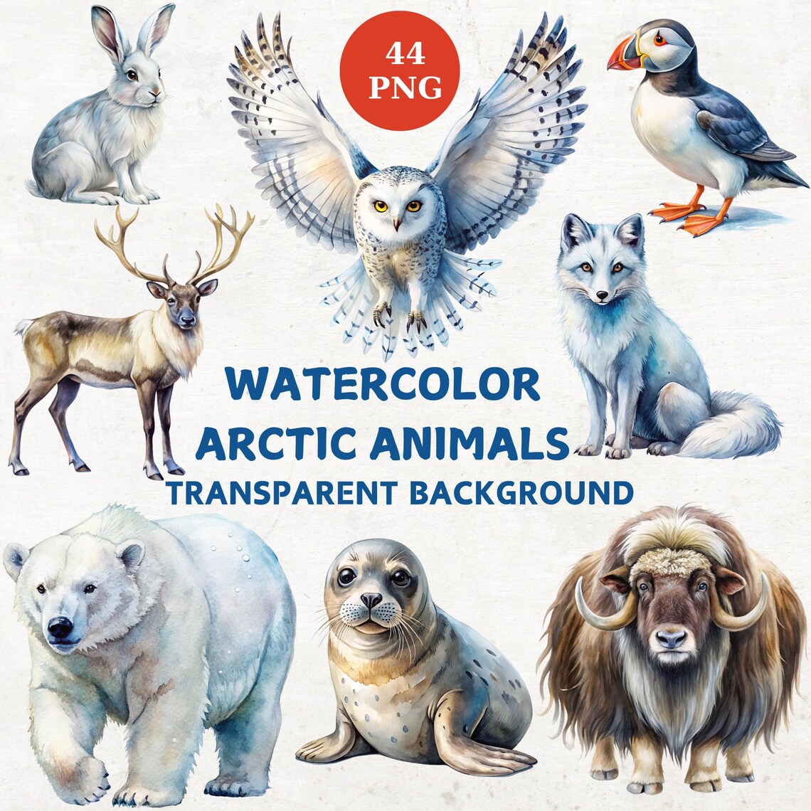 Watercolor Arctic Animals Clipart Bundle: 44 PNG Designs (digital ...