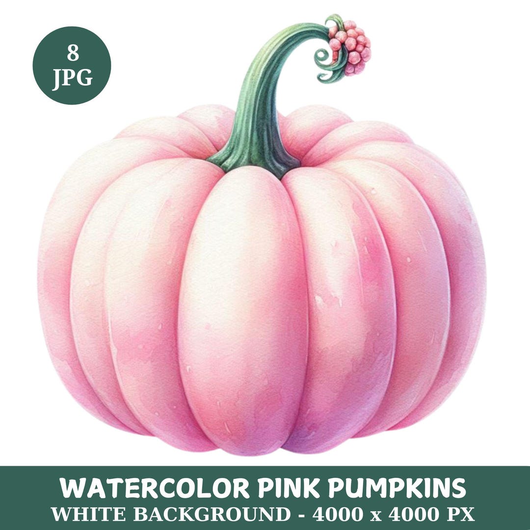 Watercolor Pink Pumpkin Clipart Bundle: 8 White Background JPG (digital ...