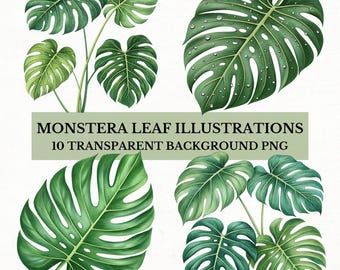 Paquete de imágenes prediseñadas de hojas de monstera: ilustraciones tropicales en formato PNG, descarga digital.
