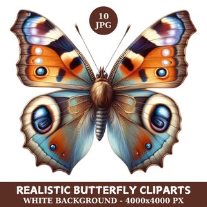 Realistic Butterfly Clipart Bundle, 10 High Quality jpg, Watercolor Butterfly Art, Butterflies for Stickers, Digital Download, Paper Craft