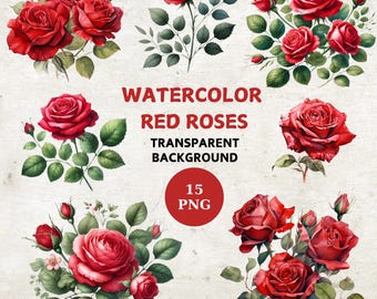 Watercolor Red Rose Clipart: 15 Floral PNG Illustrations (Digital Download)