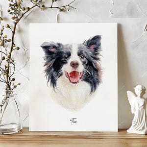 Retrato de mascota en acuarela personalizado, retrato de perro personalizado, retrato dibujado a mano a partir de una foto, regalo personalizado, retrato de mascota pintado a mano, pintura de mascotas imagen 4