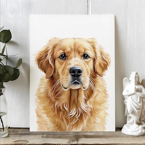Op de afbeelding: Een aquarel schilderij van een Golden Retriever hond. De hond heeft een lichtbruine vacht, een zwarte neus en donkere ogen. Het kunstwerk wordt getoond op een witte achtergrond, met een klein engelenbeeld en groen.
