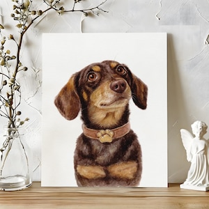 Op de afbeelding: Aquarel schilderij van een teckel met bruine en zwarte vacht, met een bruine halsband met een pootafdruk bedel. De hond kijkt omhoog met een nieuwsgierige uitdrukking. Het kunstwerk wordt op een witte achtergrond getoond.
