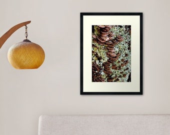 Photograph Chocolate Brown Mushrooms and Mint Green Moss Nature Botanical Art Print Home Decor Gift