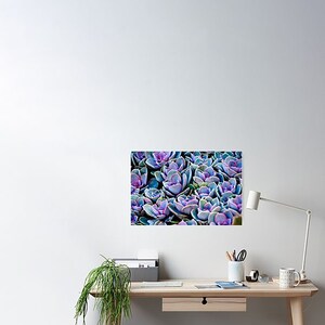 Succulent Photograph Vibrant Violet Purple Cacti Plant Lovers Art Print Home Decor image 6