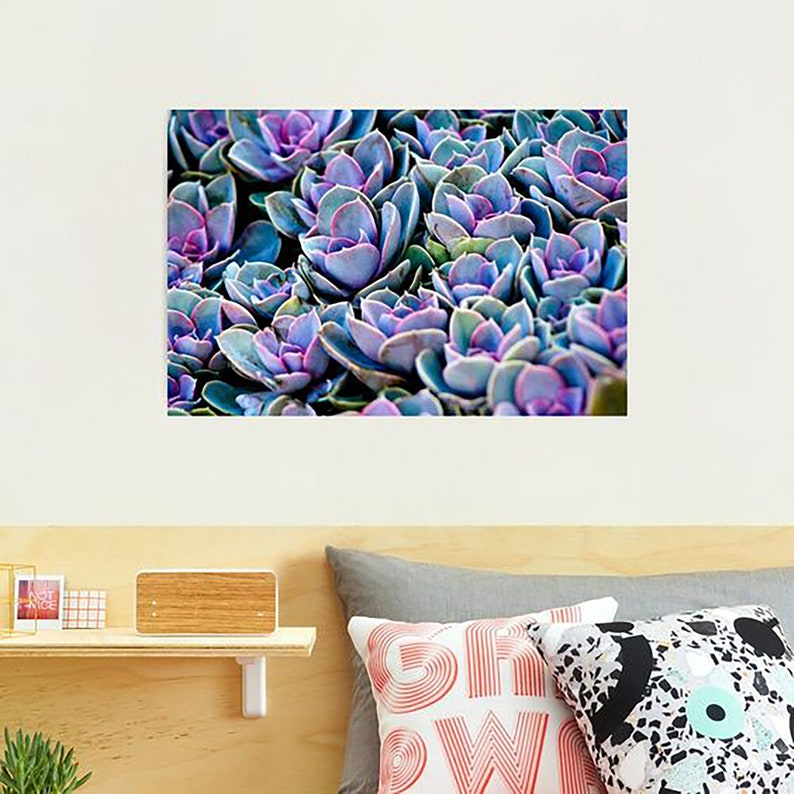 Succulent Photograph Vibrant Violet Purple Cacti Plant Lovers Art Print Home Decor image 4