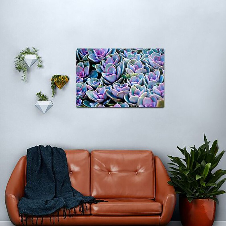 Succulent Photograph Vibrant Violet Purple Cacti Plant Lovers Art Print Home Decor image 7