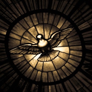 Stunning Sepia Photo of Bernini&#39;s Dove at St. Peter&#39;s Cathedral – Vatican City Religious Art - Spirit of Vatican City - Rome Italy Decor