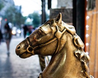 Gold Horse Art Print - Bronze Horse Photograph - Vintage Aesthetic - Equine Home Decor