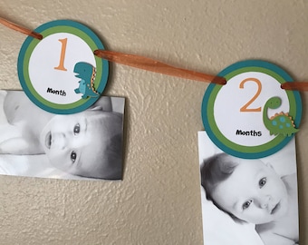 Dinosaur 1st Birthday Photo Banner: Dino Party Milestone Picture Garland