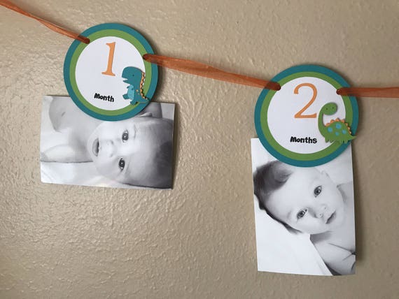 Dinosaur 1st Year Photo Banner, Dinosaur Birthday Party Decoration, Dino Timeline Banner Il_570xn