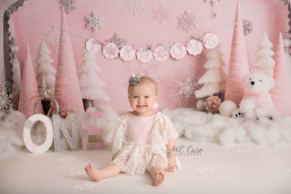Snowflake High Chair Banner, Winter Wonderland 1st Birthday Party Decoration, Winter Onederland Photo Prop Banner, Pink and Silver Il_570xn