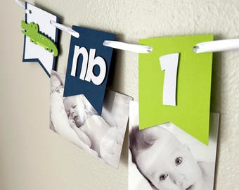 Alligator Party First Year Photo Banner, Crocodile Birthday Monthly Picture Garland