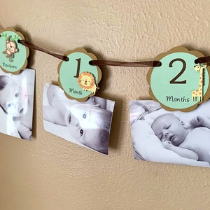 Safari Party Photo Banner, Jungle 1st Birthday Party Decoration, Milestone Banner, Safari Animal Timeline Banner, Newborn to 12 Months