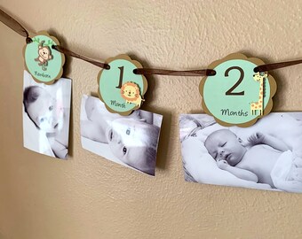 Safari 1st Birthday Photo Banner, Jungle Animal Milestone Timeline Garland