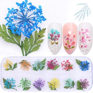 1 Case Dried Flower Natural Gypsophila Paniculate Nail Art Floral Leaves Slices Decal 3D Gel Polish Manicure Decor Tool