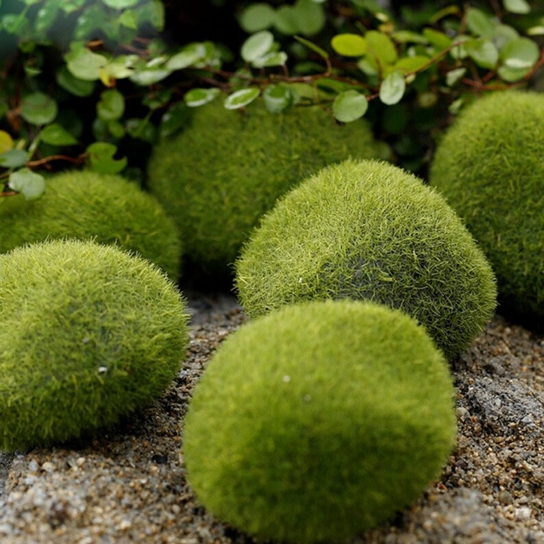 4 Sizes Artificial Foam Green Moss Plants Decorations