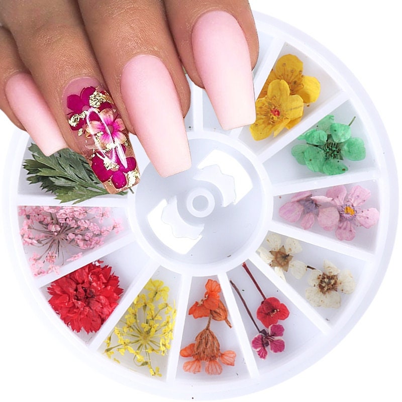 1 Wheel Dried Flowers Nail Art Decoration 3D Natural Artificial Leaf Floral  Charms Necklace Jewelry DIY Accessories Tips 