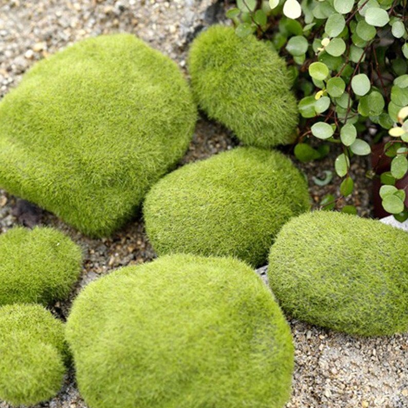 4 Sizes Artificial Foam Green Moss Plants Decorations