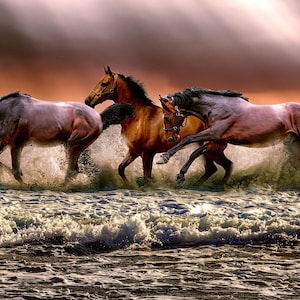 A Horse Running in Winter 5D Diamond Painting -  – Five  Diamond Painting