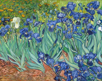 5D DIY Full Drill Square or Round Diamond Painting Embroidery Set Van Gogh Irises Flowers Home Decor Mosaic Painting Cross Stitch Needlework