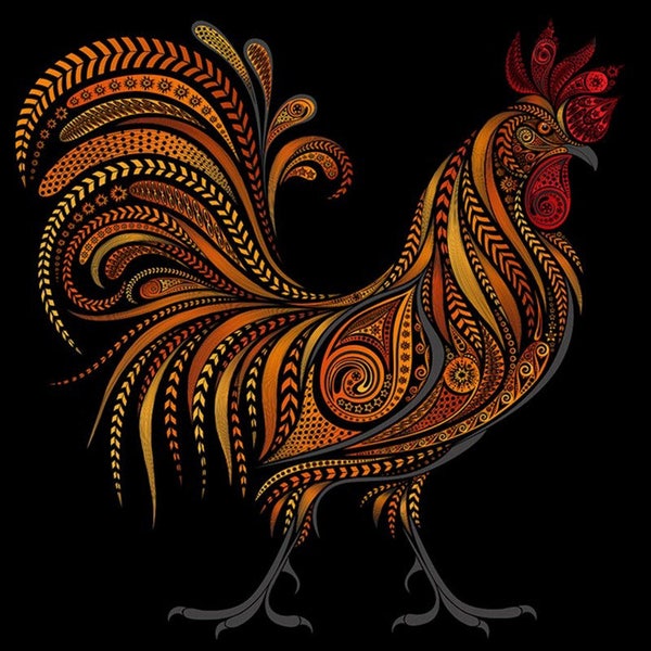 Full Drill Round - Square Diamond Painting Kit Animals Kit Diamond Embroidery Rooster Decorative Paintings 5D Mosaic Effect Gift