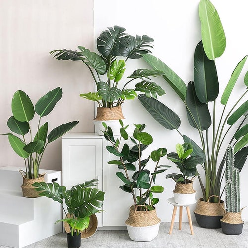 Artificial Plants Green Turtle Leaves Garden Home Decor 1 - Artificial Plants For Home Decor Artificial Plants Green Turtle Leaves Garden Home Decor 1 - Artificial Plants For Home Decor