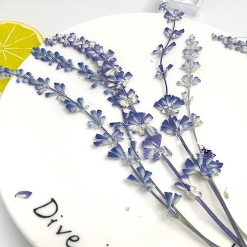 15pcs Organic Natural Dried Press Lavender Flower