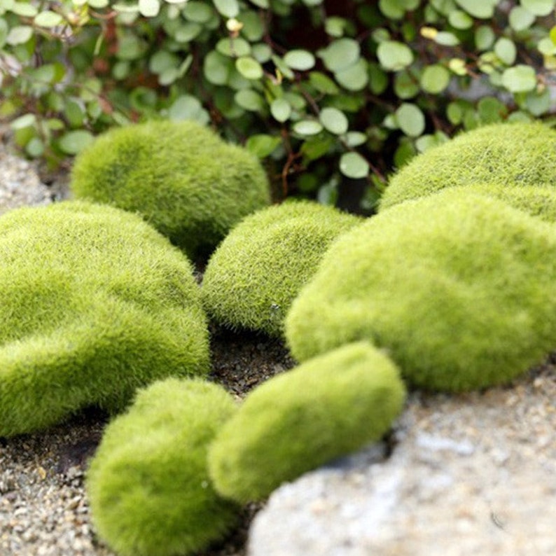 4 Sizes Artificial Foam Green Moss Plants Decorations Creative Etsy UK