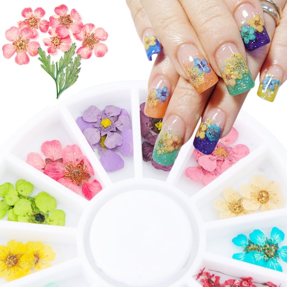 24PCS/Wheel Nail Art Decoration Dried Flower 3D Manicure | Etsy