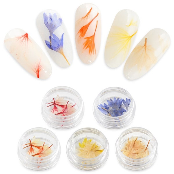 1 Box 3D Design Dry Petal Dried Flowers Decoration UV Gel Nail Art Stickers Tips DIY Tools Elegant Manicure Set