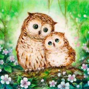 5D DIY Square or Round Full Diamond Painting Cross Stitch Cute Owl Couple in Basket Mosaic Needlework Diamond Embroidery Home Decor Resin