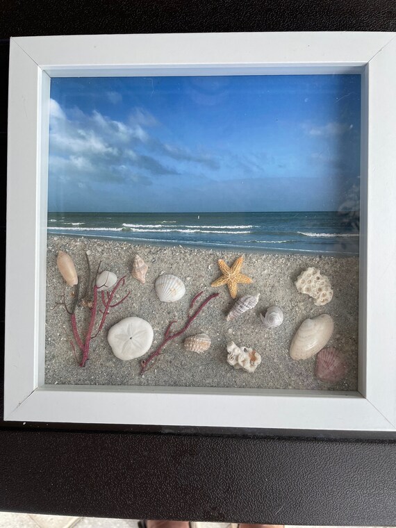 Scrapbooking Paper, Party & Kids Seashell and Sand Shadow Box Framed ...