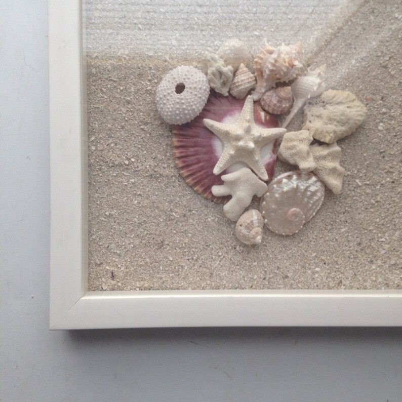 Seashell and Sand Shadow Box Framed Decorative Sea Shell Etsy