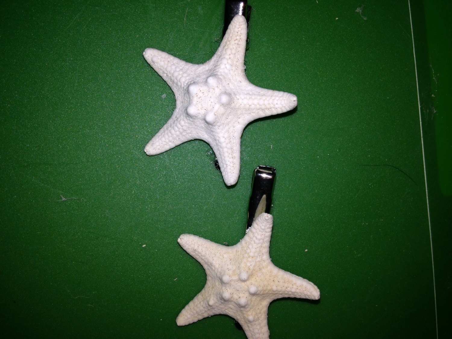 2 Seashell Hair Clip Accessory Wedding Bride Bridesmaid White Etsy