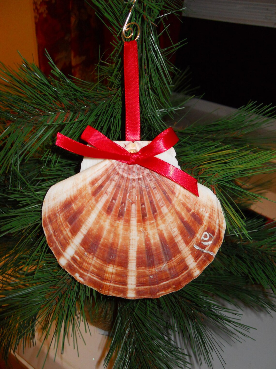 Large 5 Inch Christmas Seashell Clam Shell Ornament Etsy