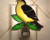 Yellow breasted Goldfinch.