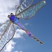 see more listings in the suncatchers section