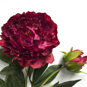 May include: A large, fully bloomed burgundy peony flower with multiple layers of petals. A smaller bud is visible to the right, with green leaves and stem. The flower has a realistic appearance, with a soft texture and detailed veining.